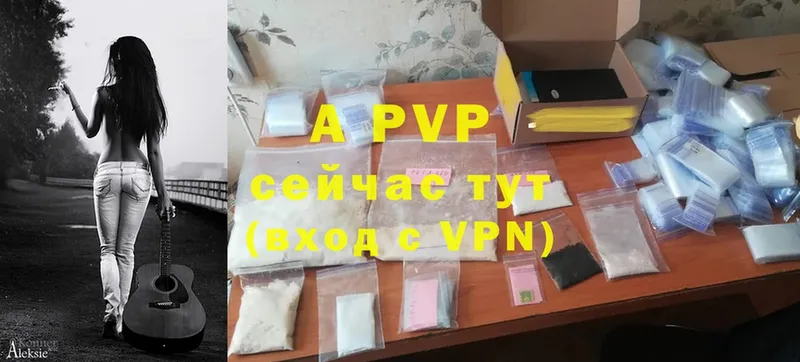 A-PVP СК  Галич 