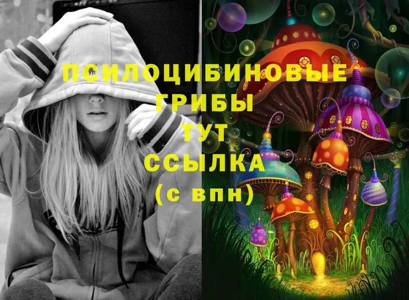 купить   гидра как зайти  Галлюциногенные грибы Psilocybine cubensis  Галич 