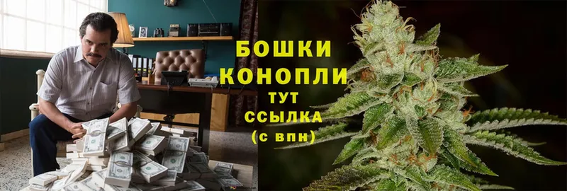 как найти наркотики  гидра сайт  Бошки Шишки Bruce Banner  Галич 